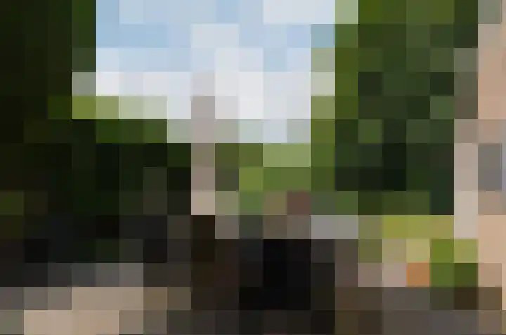 Asserstraat 43 Beilen thumbnail 36