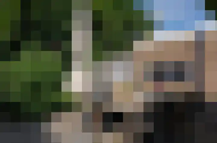Asserstraat 43 Beilen thumbnail 39