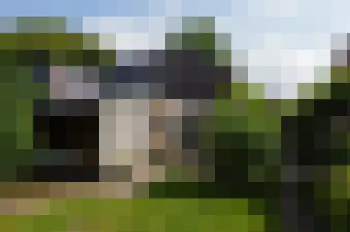 Asserstraat 43 Beilen thumbnail 43