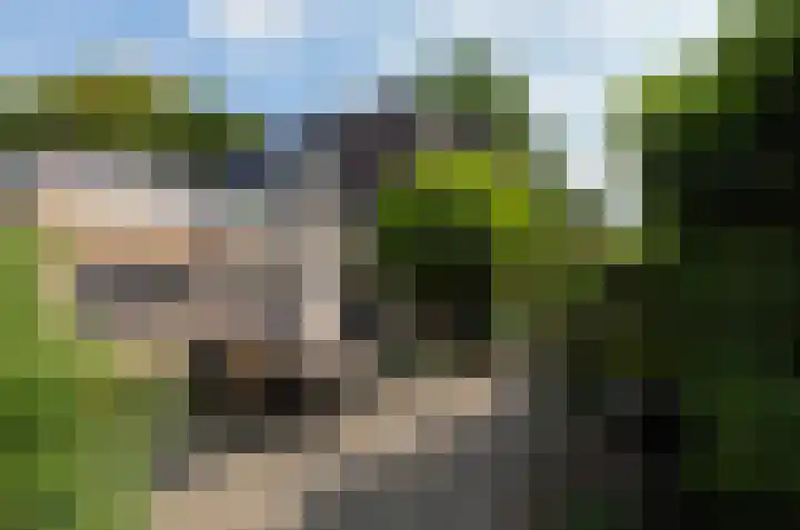 Asserstraat 43 Beilen thumbnail 44