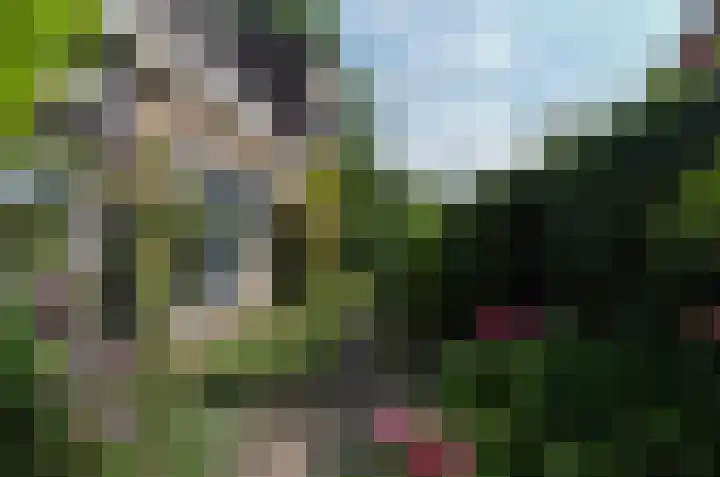Asserstraat 43 Beilen thumbnail 45