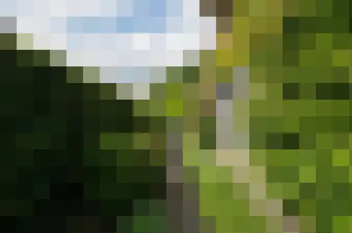 Asserstraat 43 Beilen thumbnail 47