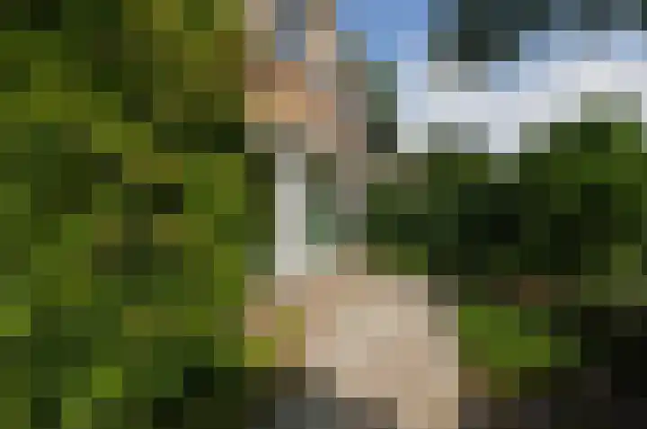 Asserstraat 43 Beilen thumbnail 48