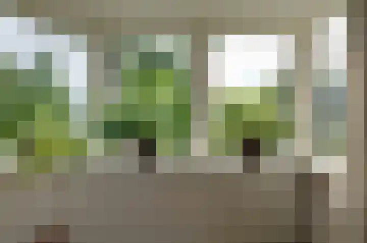 Asserstraat 43 Beilen thumbnail 5
