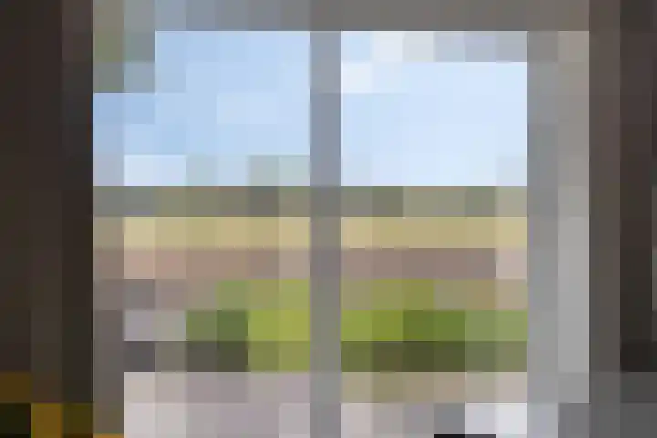 Asserstraat 51 Norg thumbnail 17