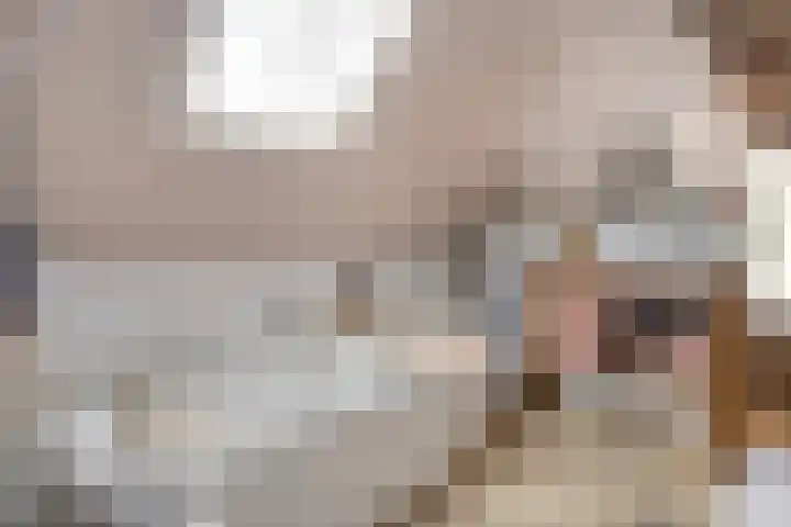 Asserstraat 51 Norg thumbnail 23