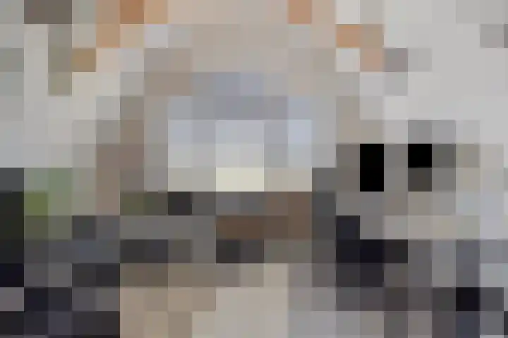Asserstraat 51 Norg thumbnail 27