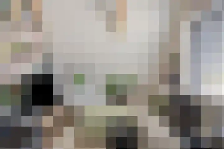 Asserstraat 51 Norg thumbnail 29