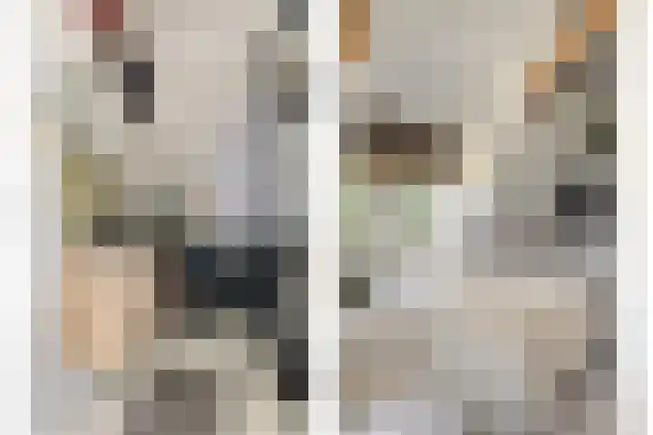 Asserstraat 51 Norg thumbnail 30