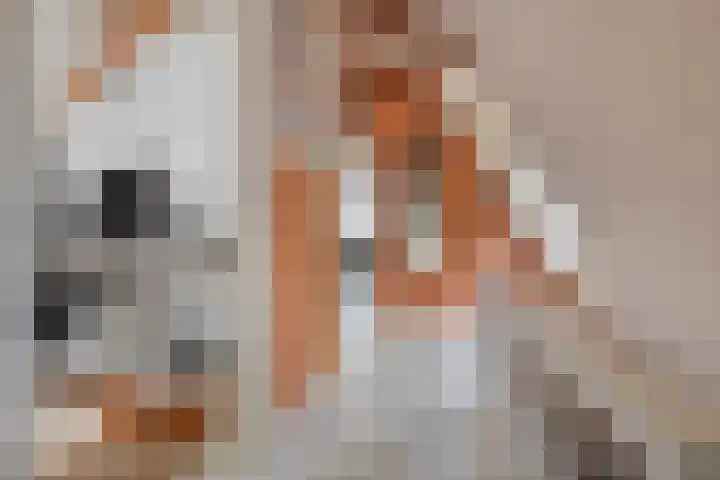 Asserstraat 51 Norg thumbnail 31