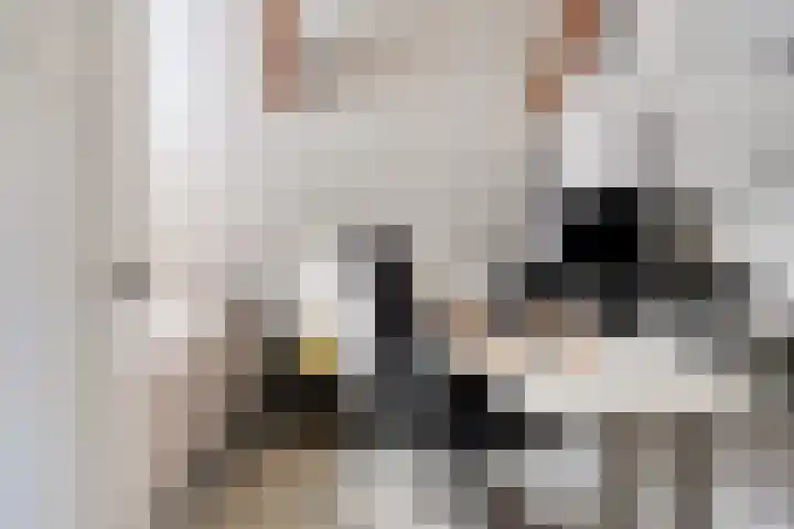Asserstraat 51 Norg thumbnail 32