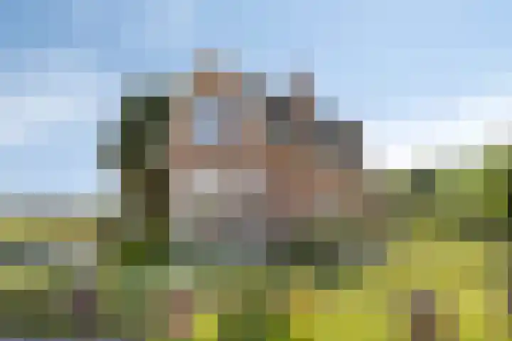 Asserstraat 51 Norg thumbnail 36