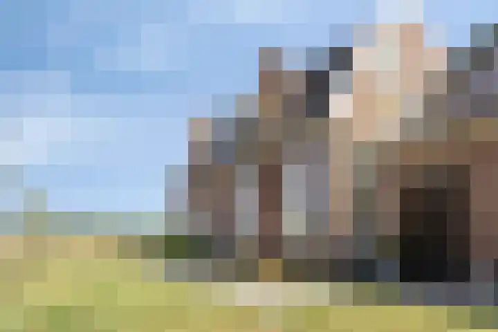 Asserstraat 51 Norg thumbnail 37