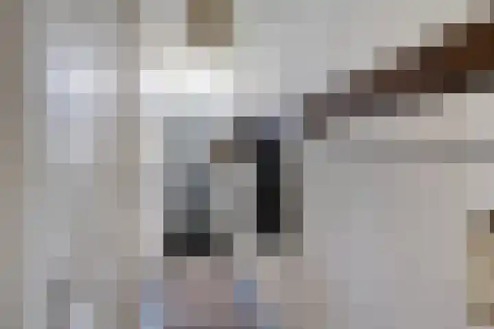 Asserstraat 51 Norg thumbnail 4