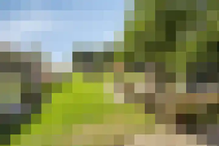 Asserstraat 51 Norg thumbnail 40