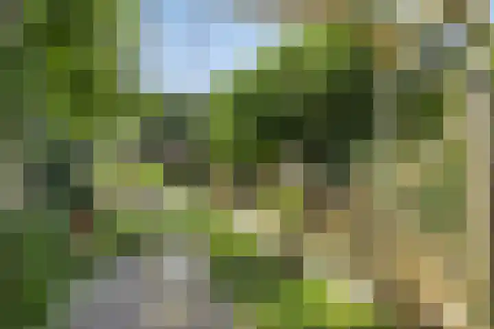 Asserstraat 51 Norg thumbnail 42