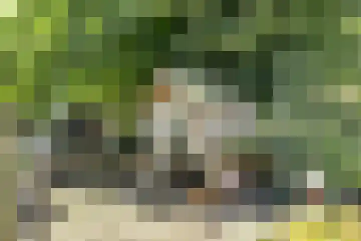 Asserstraat 51 Norg thumbnail 43