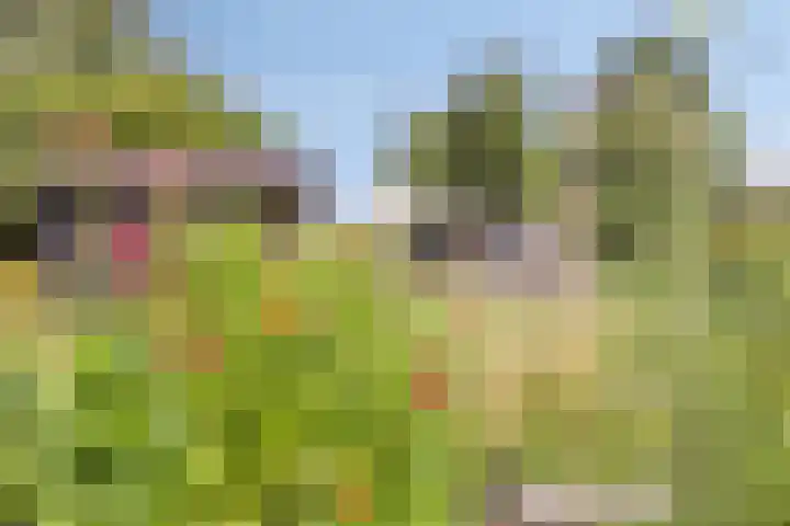 Asserstraat 51 Norg thumbnail 44