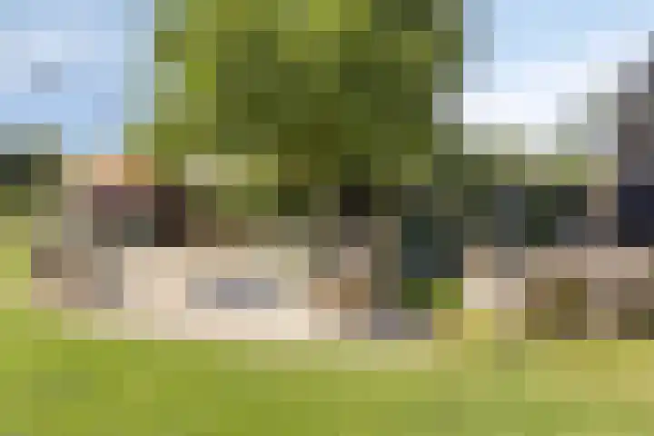 Asserstraat 51 Norg thumbnail 45