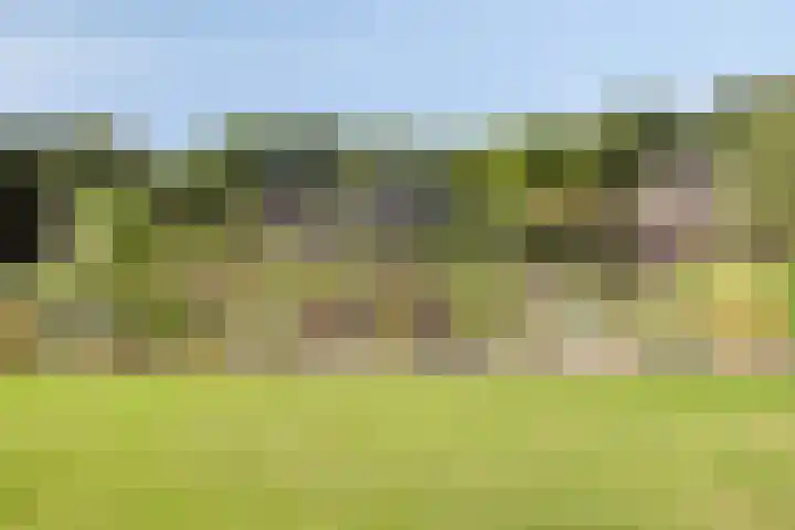 Asserstraat 51 Norg thumbnail 53