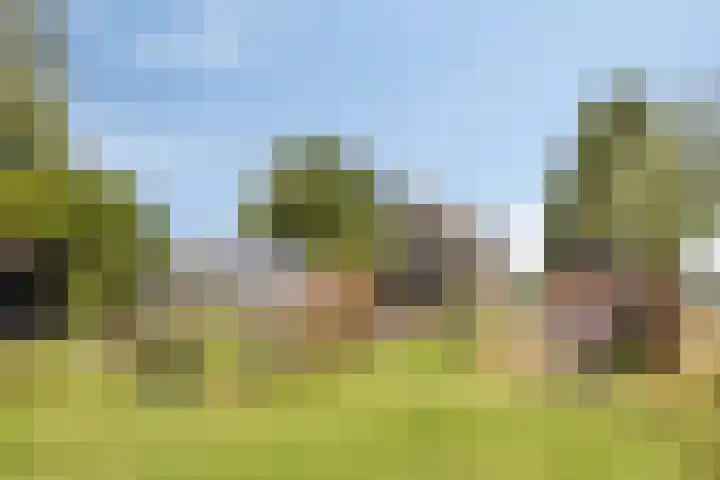 Asserstraat 51 Norg thumbnail 54