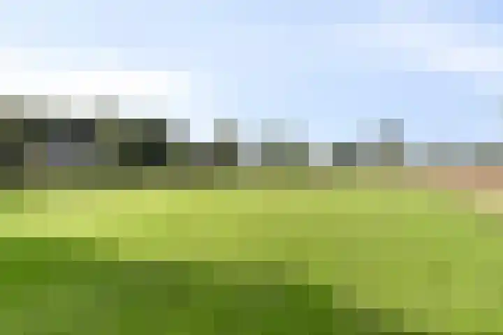 Asserstraat 51 Norg thumbnail 55