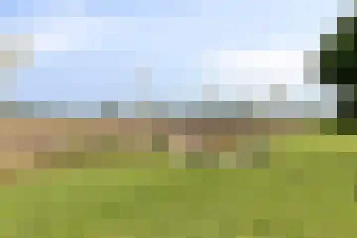 Asserstraat 51 Norg thumbnail 56