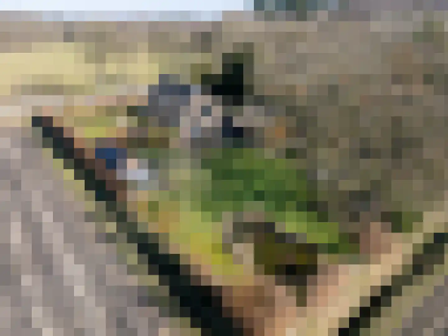 Asserstraat 57 Rolde thumbnail 4