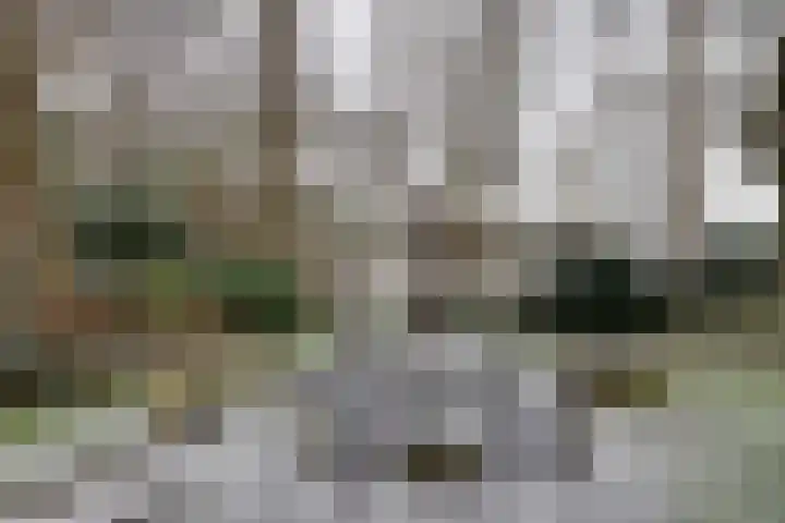 Asserstraat 57 Rolde thumbnail 58