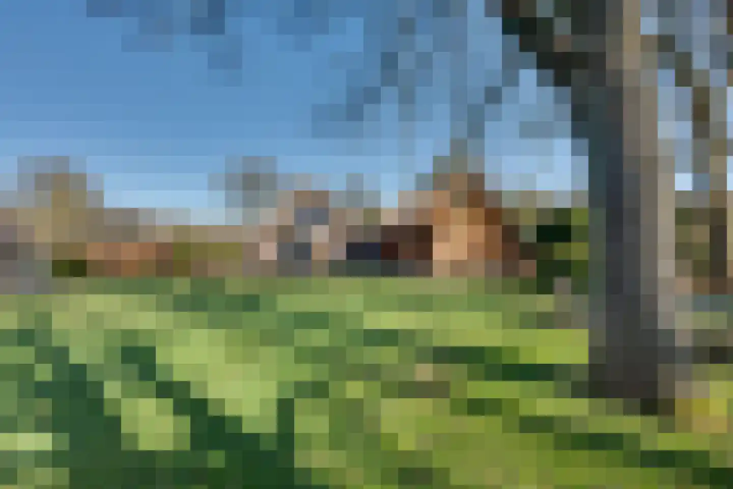 Asserstraat 57 Rolde thumbnail 65