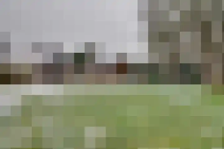 Asserstraat 57 Rolde thumbnail 66