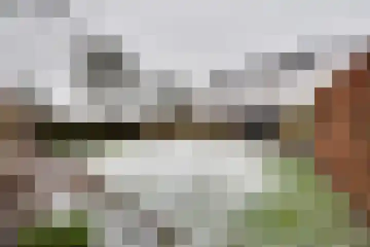 Asserstraat 57 Rolde thumbnail 67