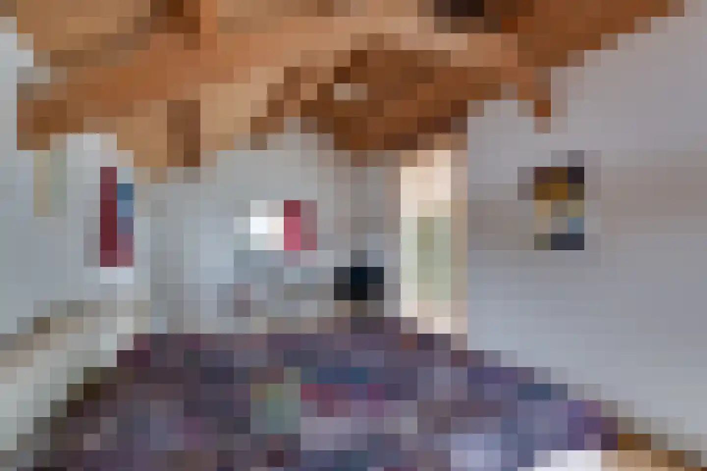 Asserstraat 57 Rolde thumbnail 72