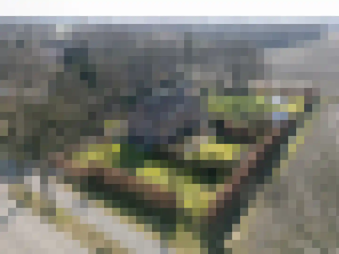 Asserstraat 57 Rolde thumbnail 79