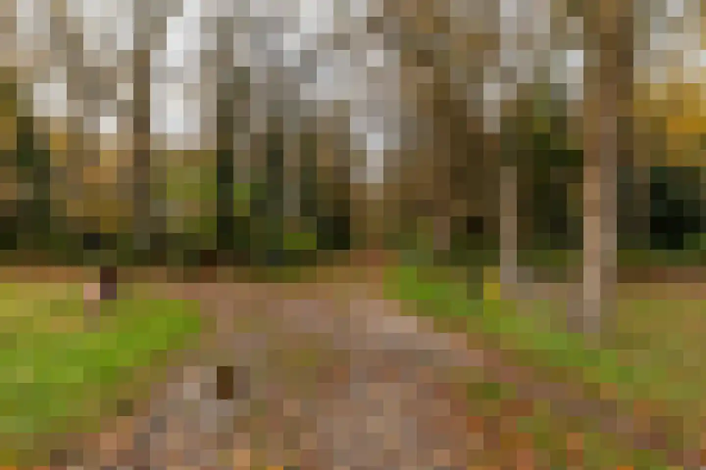 Asserstraat 87 Zuidvelde thumbnail 36
