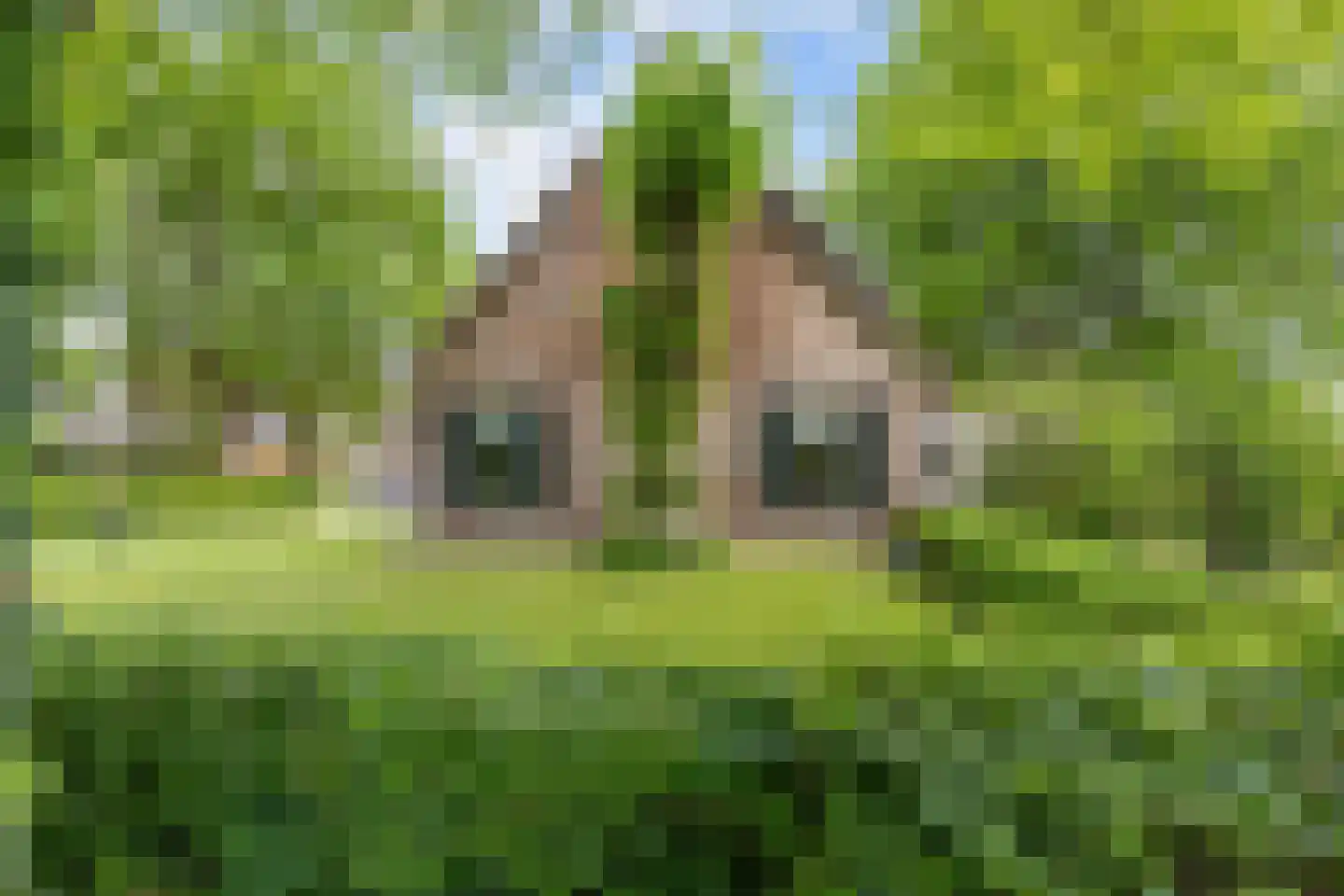 Asserstraat 93 Zuidvelde thumbnail 12