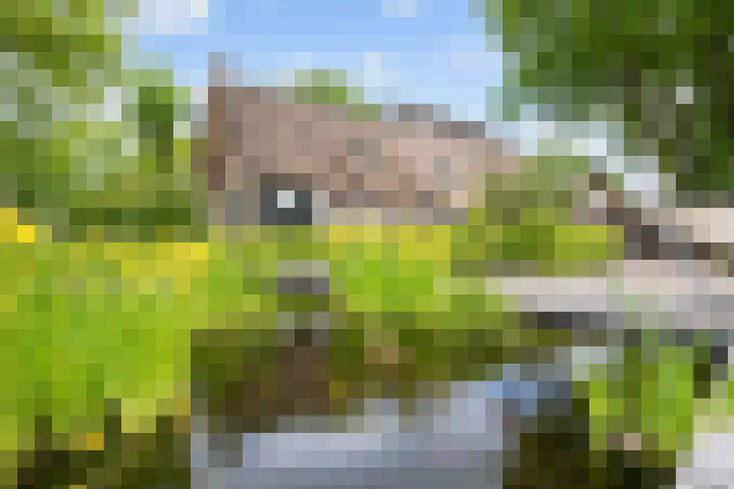 Asserstraat 93 Zuidvelde thumbnail 14