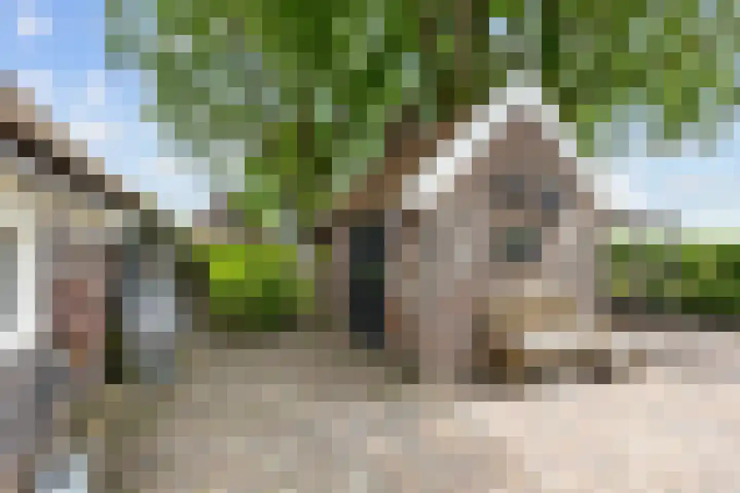 Asserstraat 93 Zuidvelde thumbnail 21