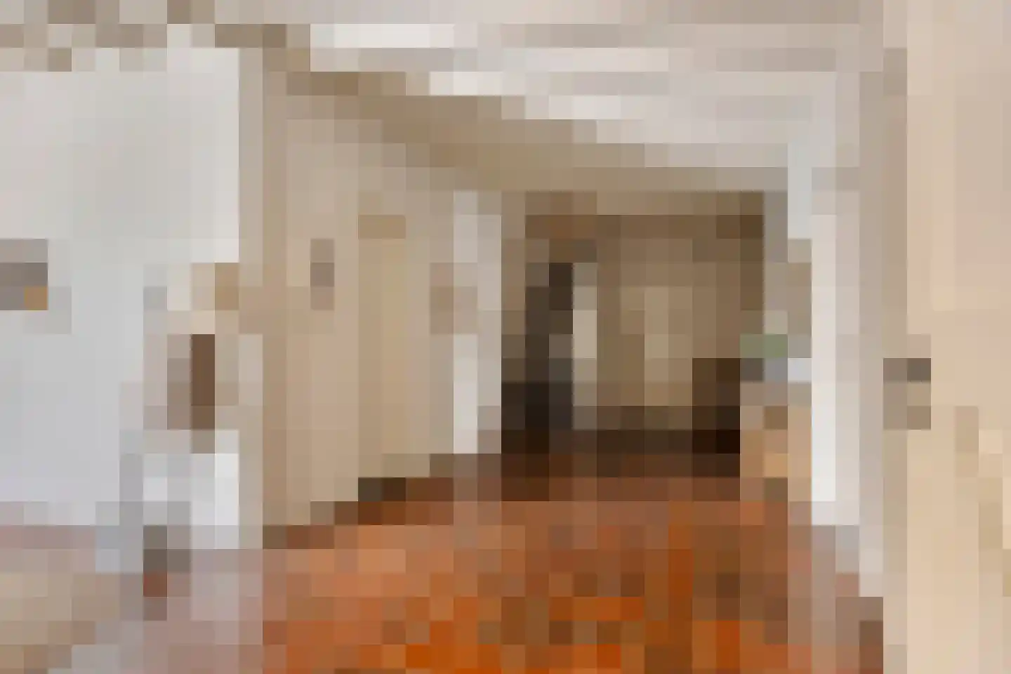 Asserstraat 93 Zuidvelde thumbnail 41