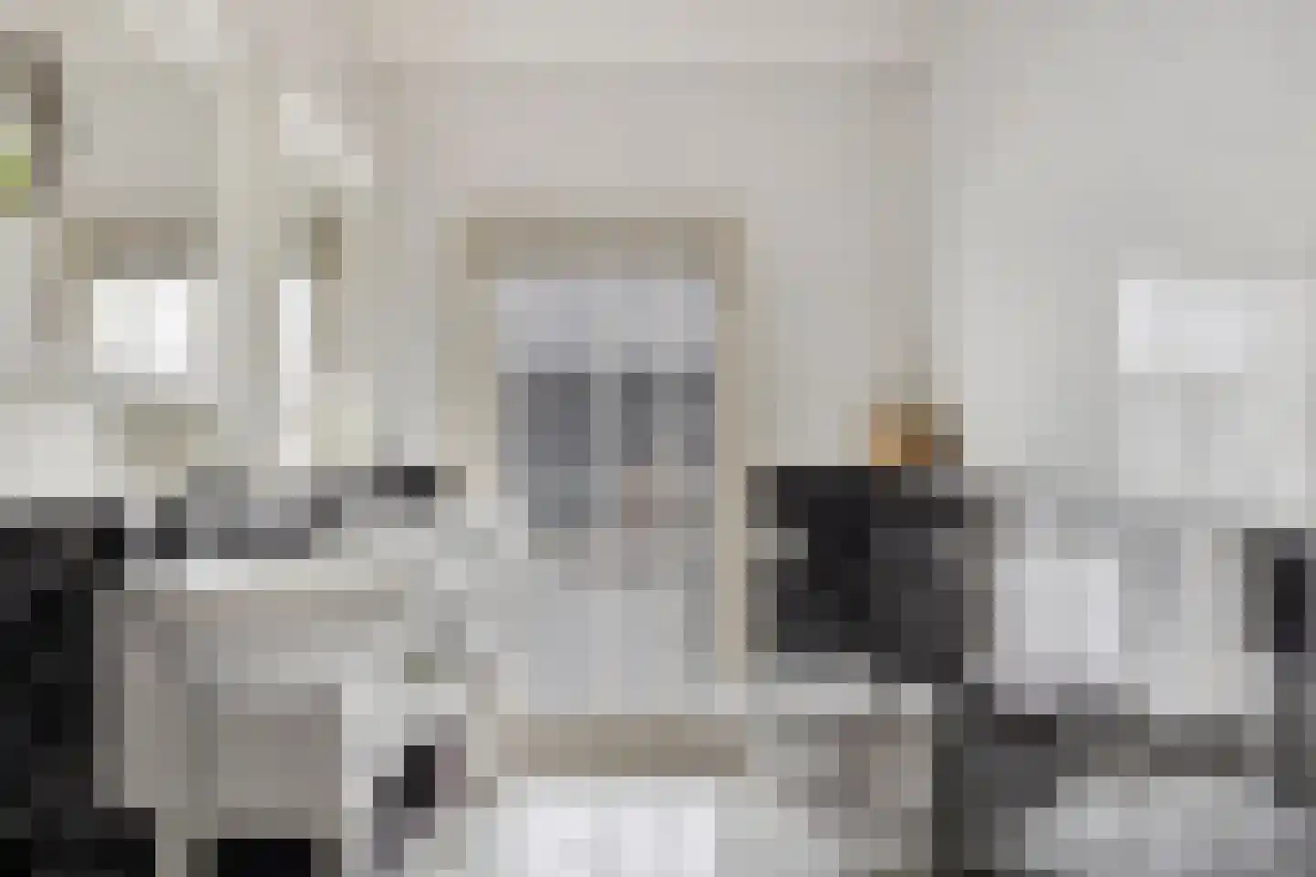 Asserstraat 93 Zuidvelde thumbnail 44