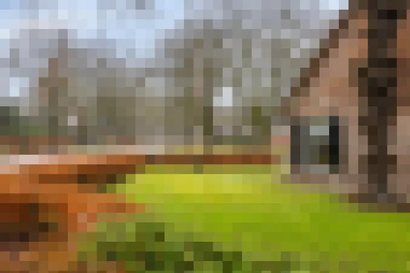 Asserstraat 93 Zuidvelde thumbnail 48