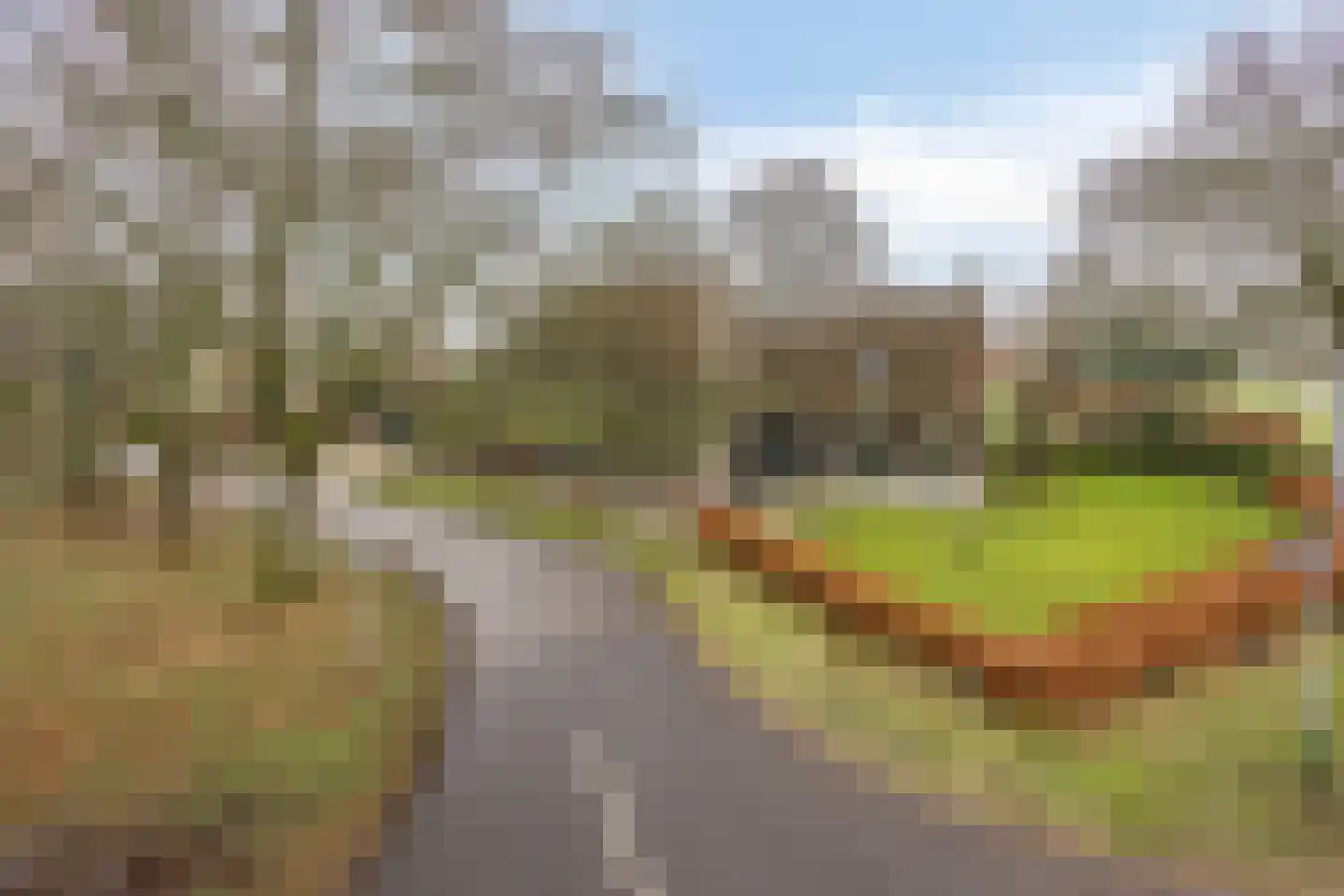 Asserstraat 93 Zuidvelde thumbnail 49