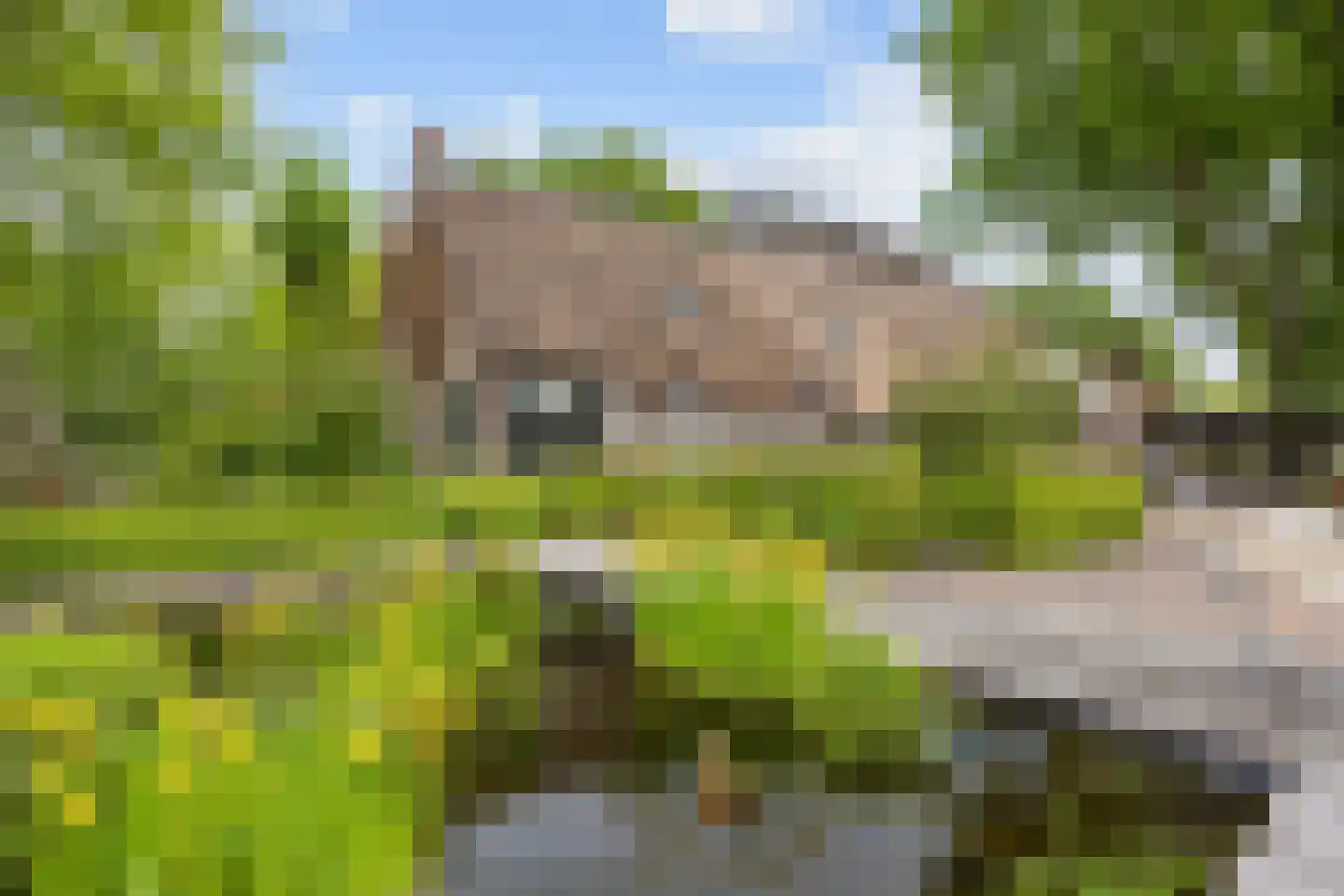 Asserstraat 93 Zuidvelde thumbnail 5