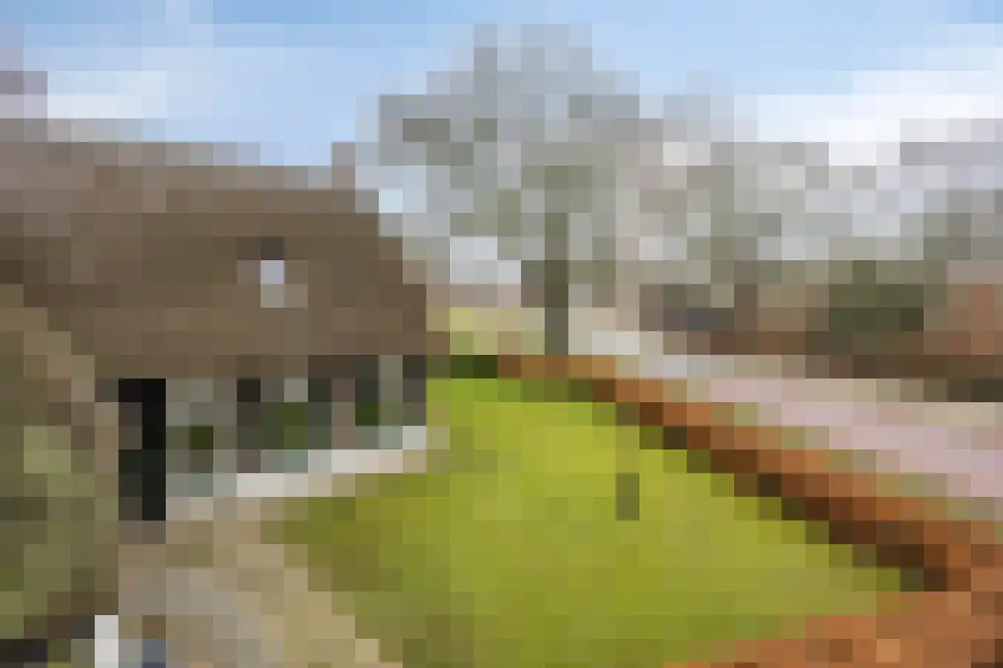 Asserstraat 93 Zuidvelde thumbnail 50