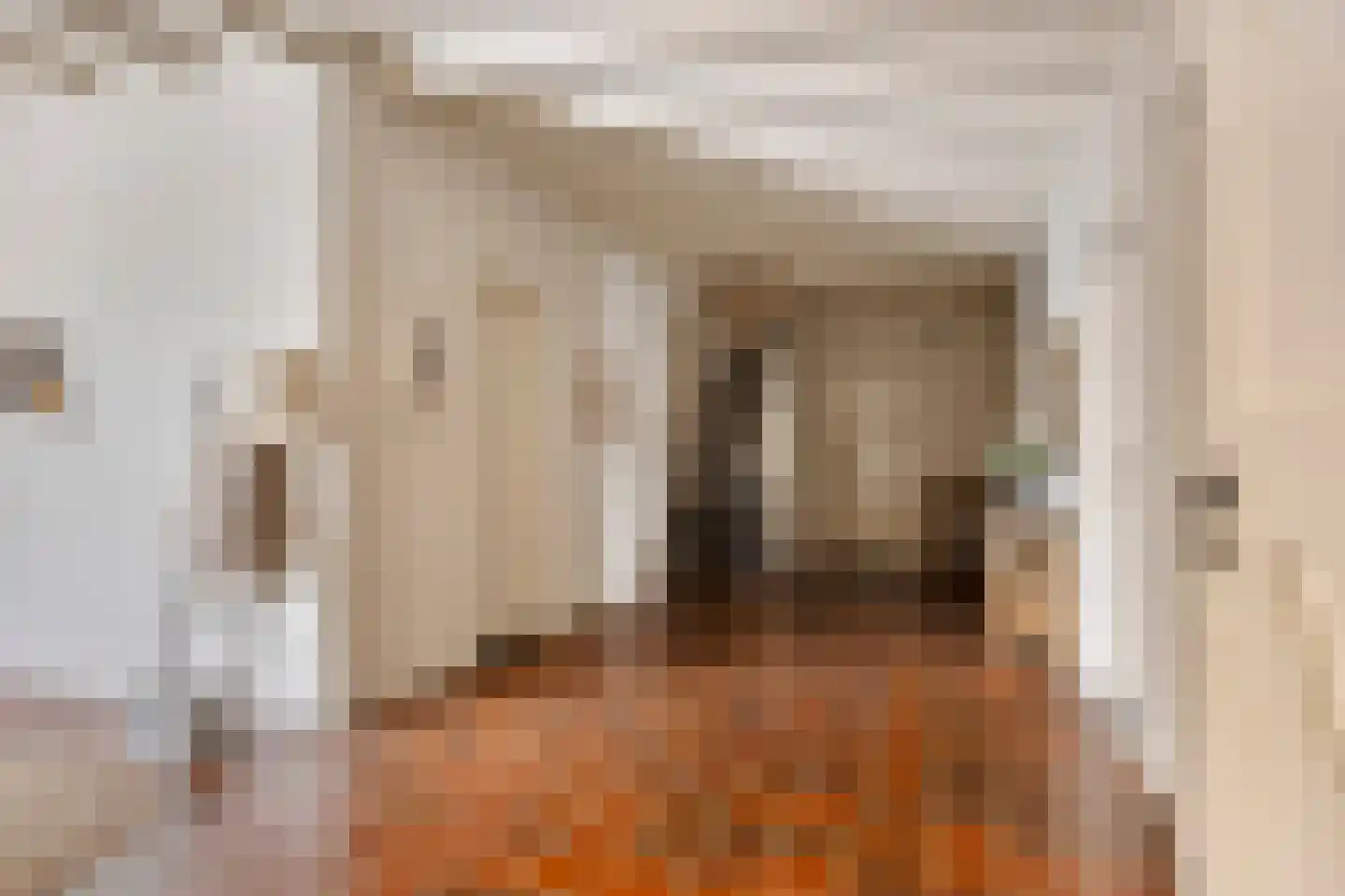 Asserstraat 93 Zuidvelde thumbnail 55