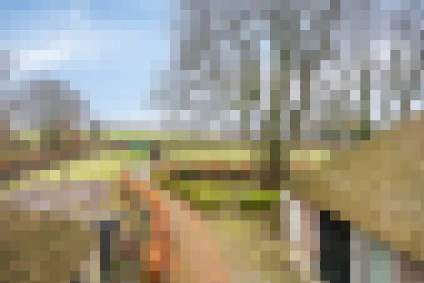 Asserstraat 93 Zuidvelde thumbnail 6