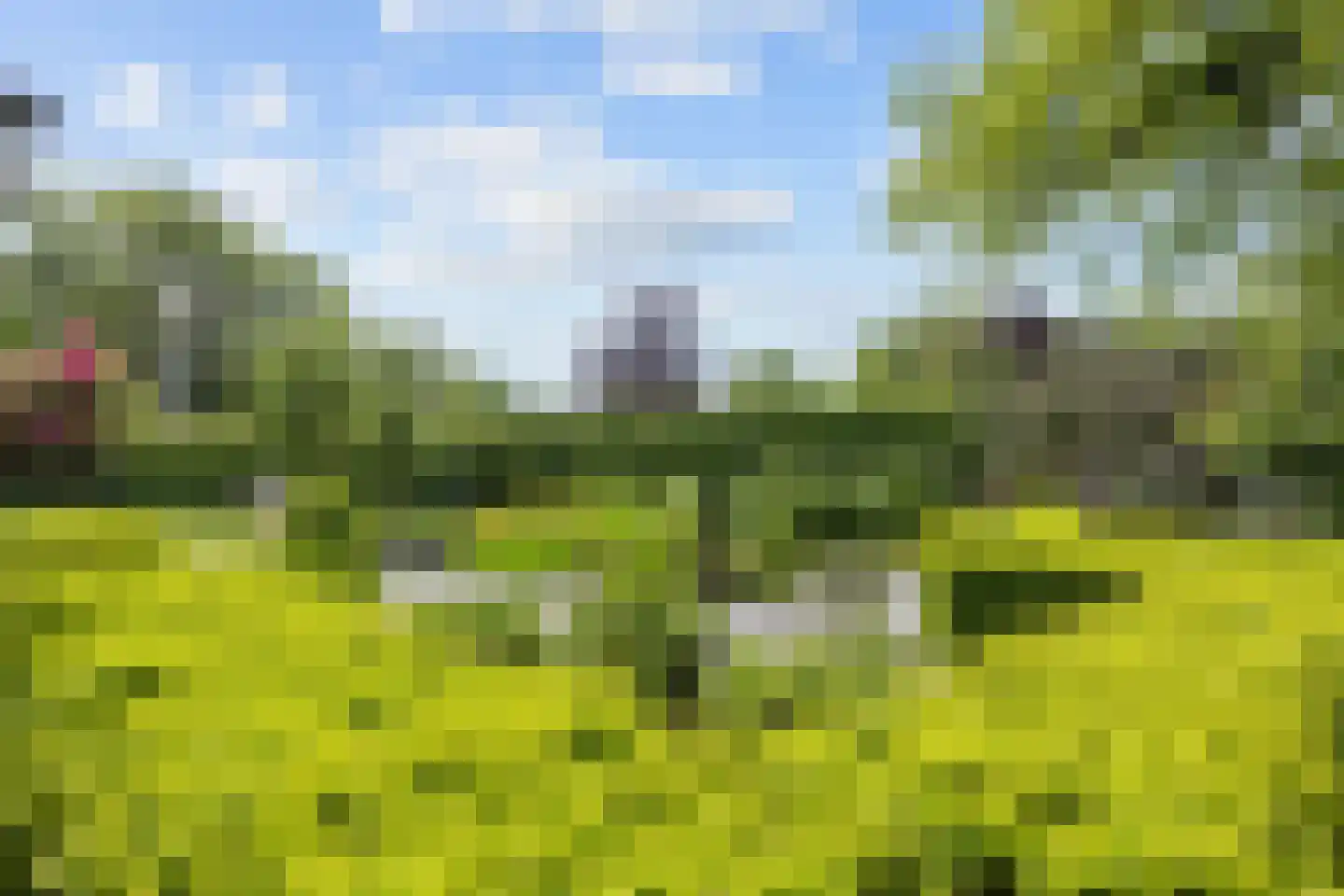 Asserstraat 93 Zuidvelde thumbnail 61