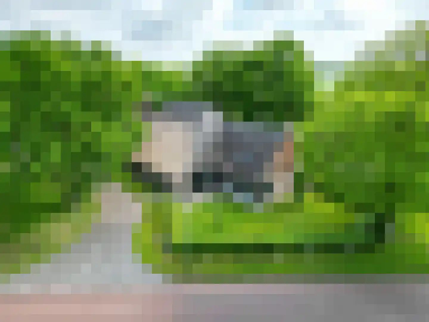 Asserstraat 93 Zuidvelde thumbnail 8