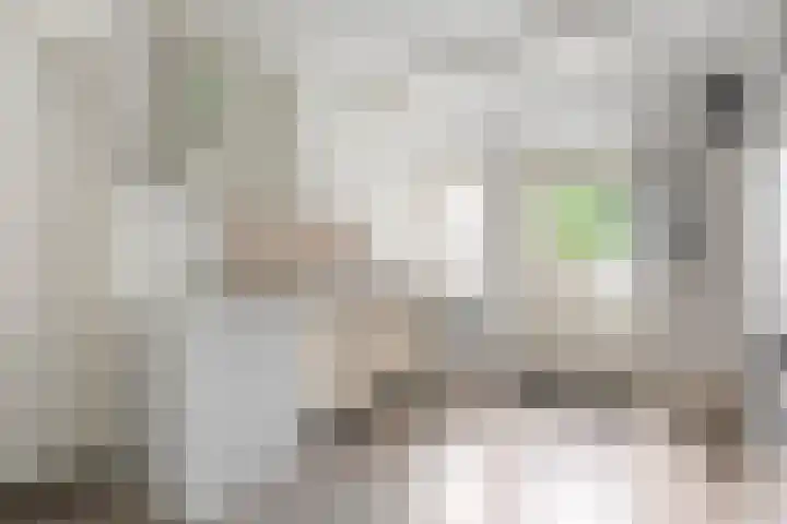 Asserweg 21 Hooghalen thumbnail 18