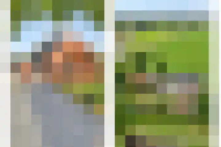Asserweg 21 Hooghalen thumbnail 4